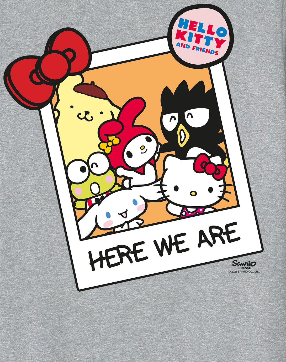Hello Kitty Best Friends Character Photo Pose XOXO Classic Official Sw ...