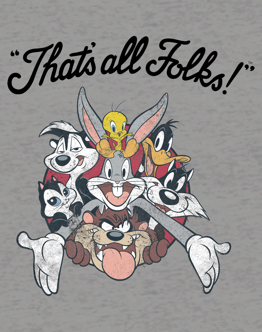 Looney Tunes All Stars That's All Folks Official Kid's T-shirt Sports Grey - Urban Species Design Close Up