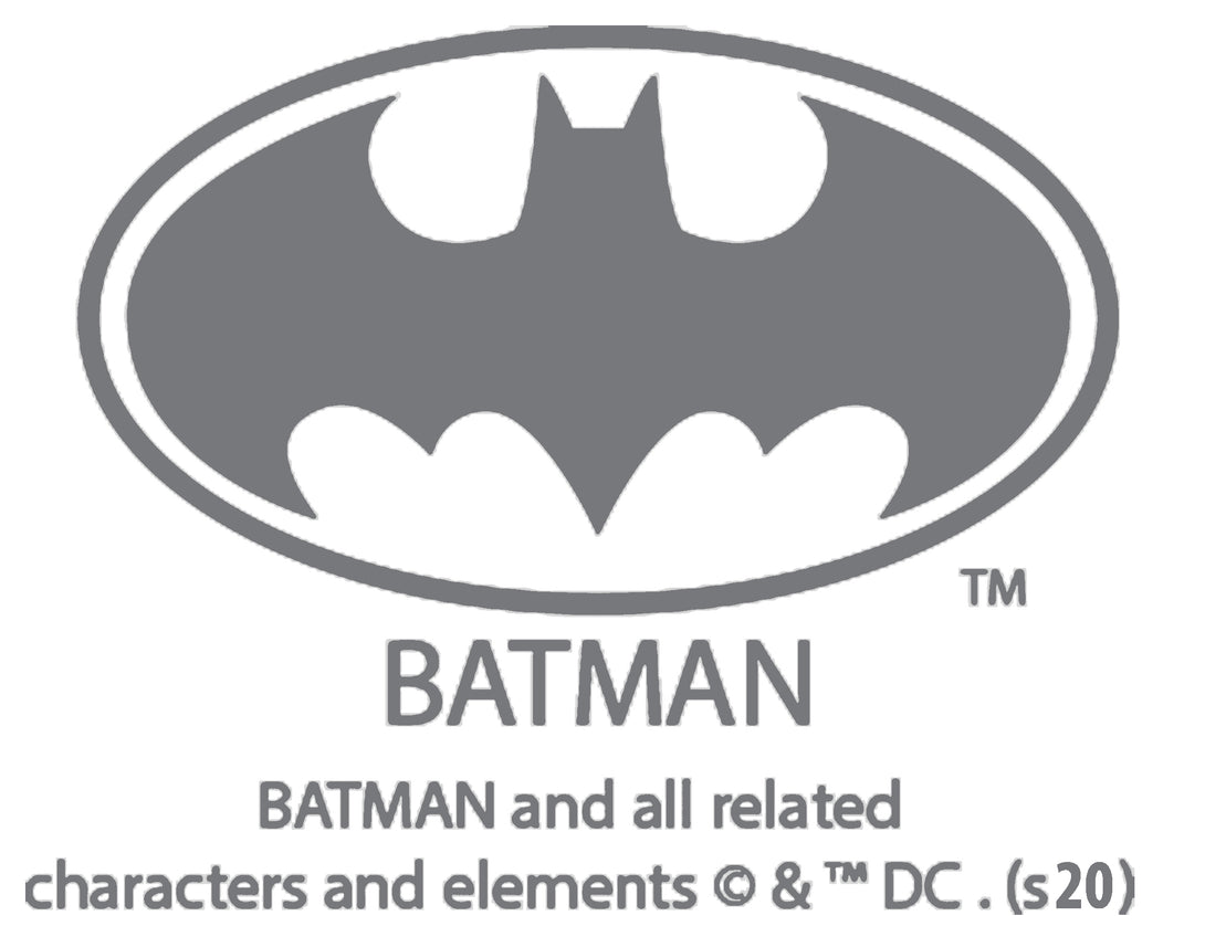 DC Comics Batgirl Logo Character Shield Official Sweatshirt Neck Print