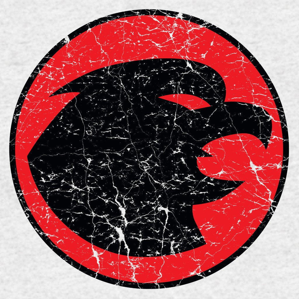 DC Comics Hawkman Distressed Logo Official Sweatshirt Sports Grey - Urban Species Design Close Up