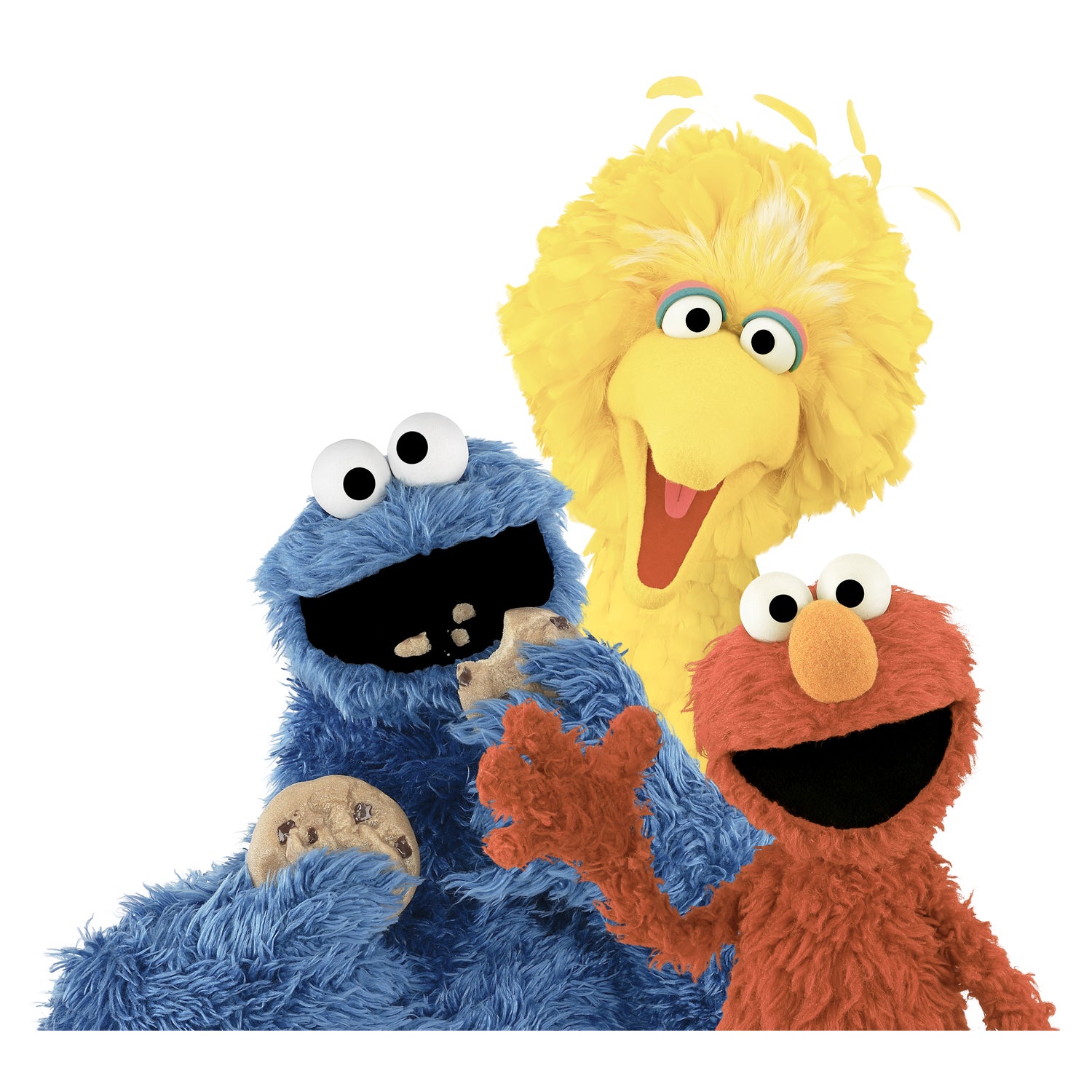 Sesame Street Group Bird Bird Cookie Monster & Elmo Official Kid's T-s ...