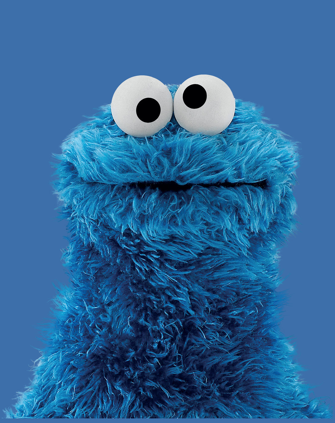 Sesame Street Cookie Monster Photo Official Kid's T-Shirt (Royal Blue) design